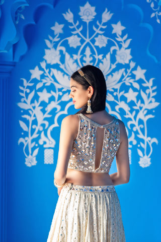 Monarq Lehenga Set