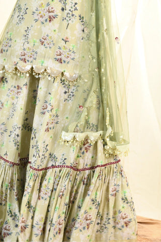 Sage Sharara Set