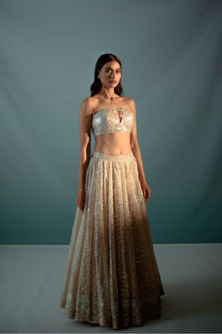 Adira Lehenga Set