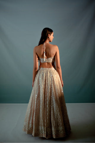 Adira Lehenga Set