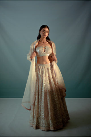 Adira Lehenga Set