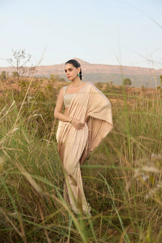 Dewfall Saree Set